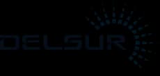 Delsur